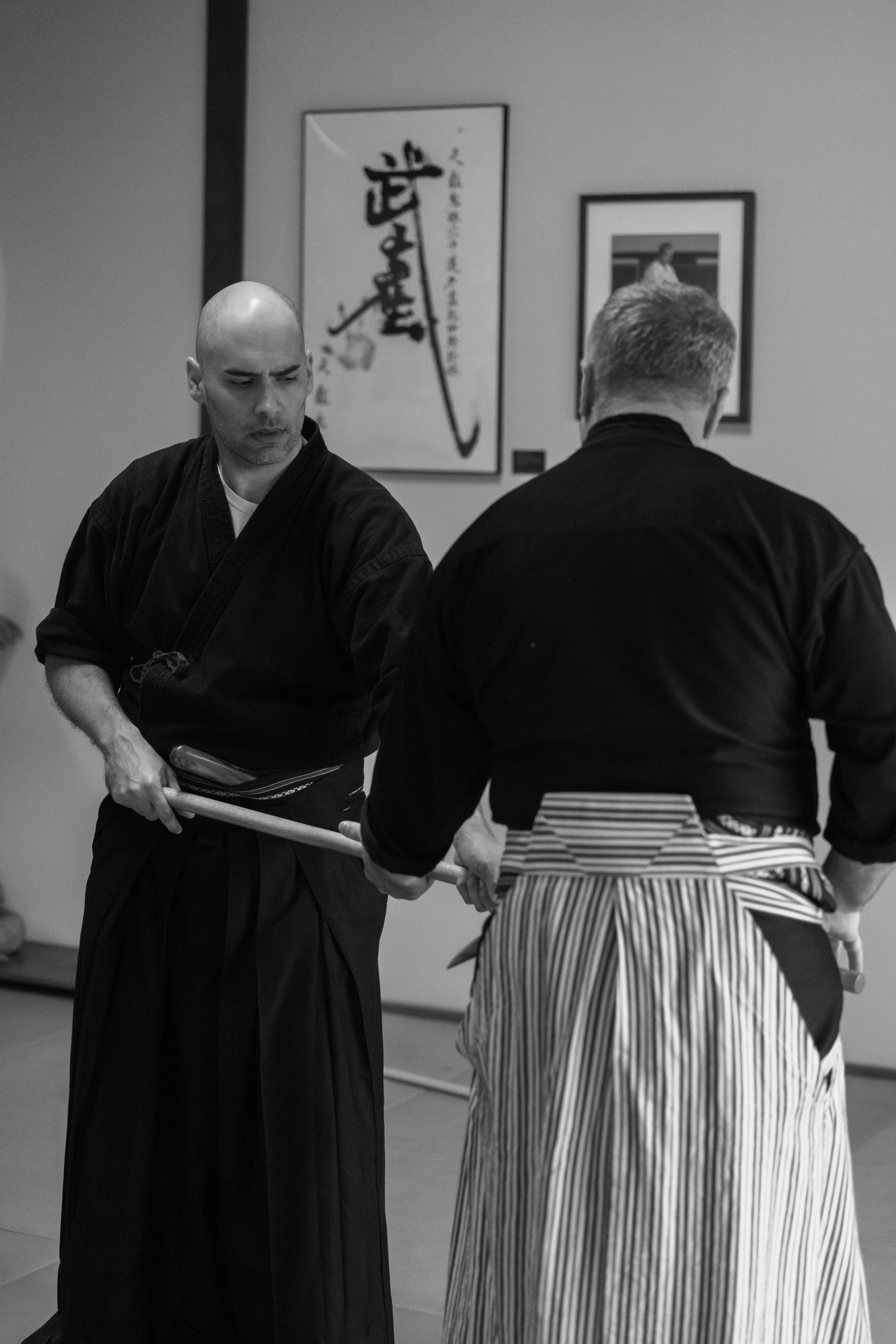 Training with jo